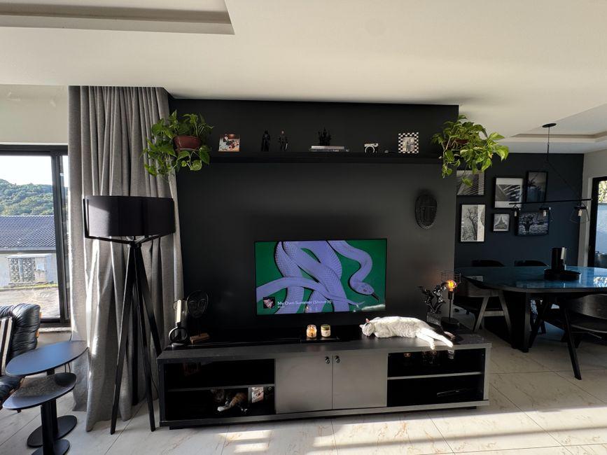 Modern Living Room with Sleek Black Tv Unit